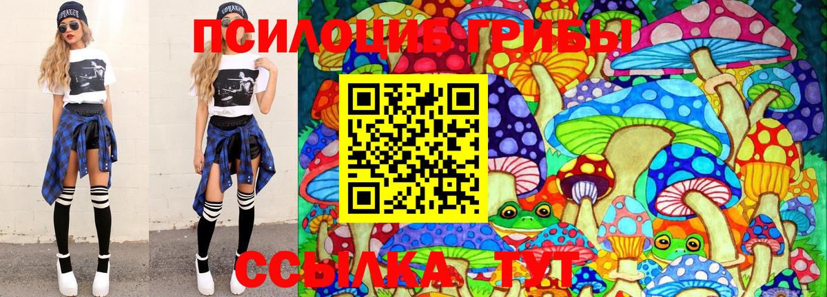 Псилоцибиновые грибы мухоморы  Псилоцибиновые грибы Psilocybine cubensis  Междуреченск  Вход с VPN 